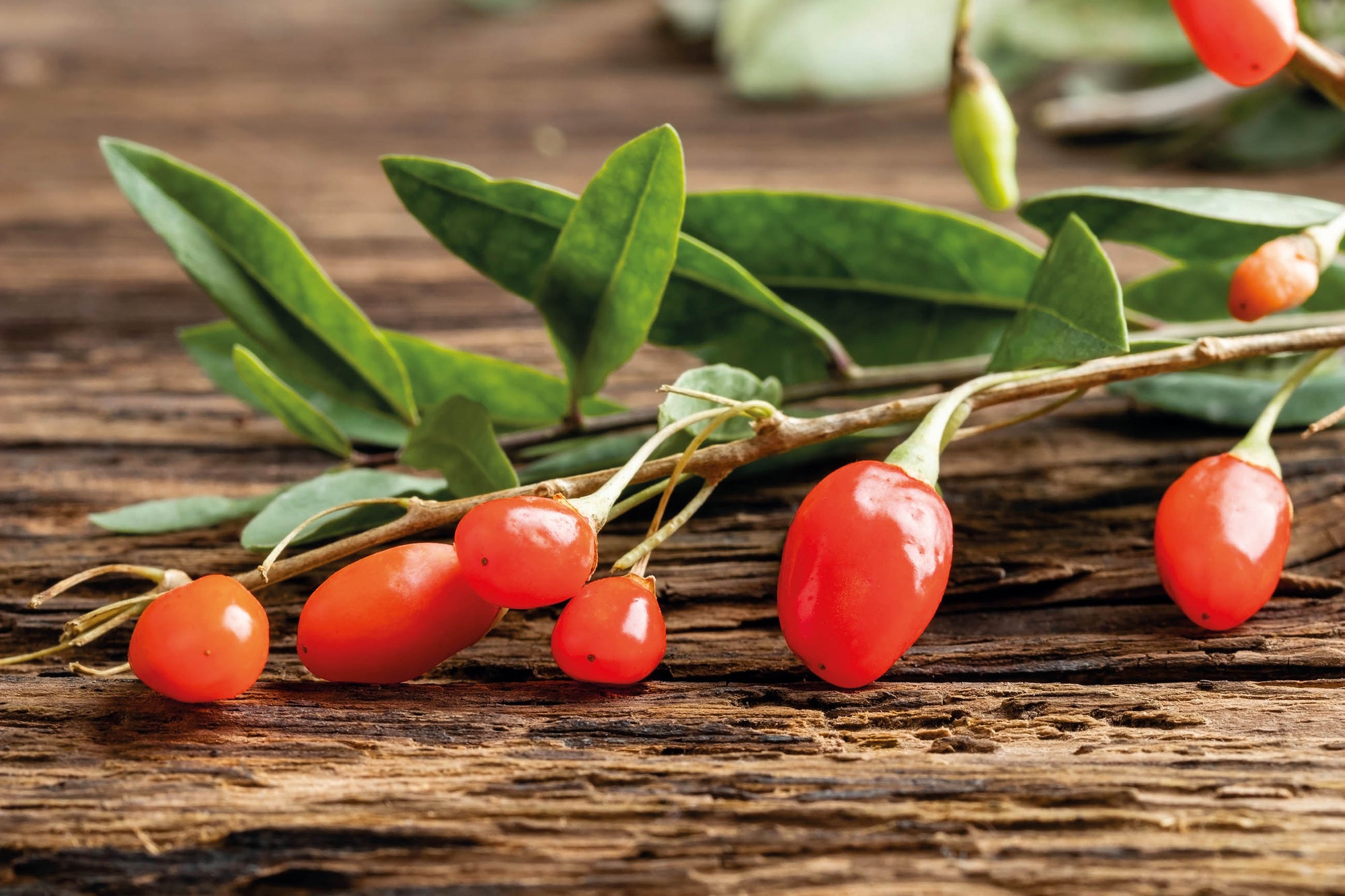 Die V-Form (V-Shape)